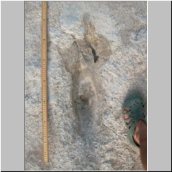 102_6609 (2013-08-11)mod.JPG